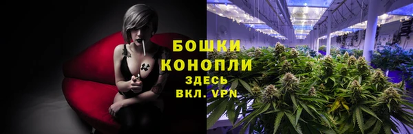 шишки Алексеевка