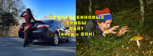 шишки Алексеевка